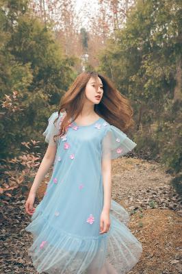 知否知否应是绿肥红瘦电视剧全集免费