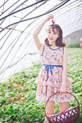 哔哩哔哩bilibili官网入口