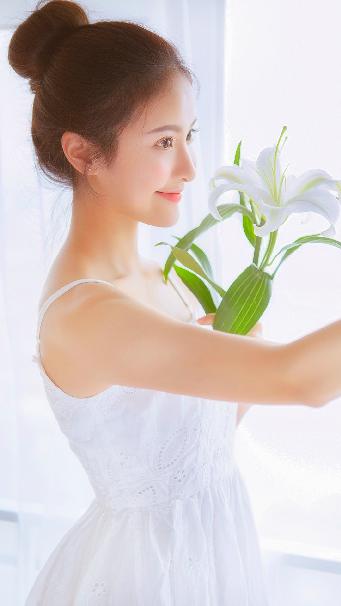 天才基本法电视剧免费观看