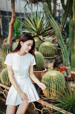 最新电视剧2025热播最火剧免费观看