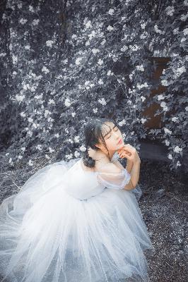 羞羞视频在线观看