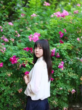 野兽们的战争在线观看免费版