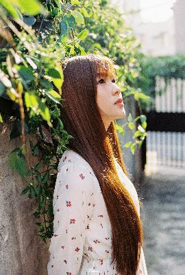 风与潮电视剧免费观看全集完整版