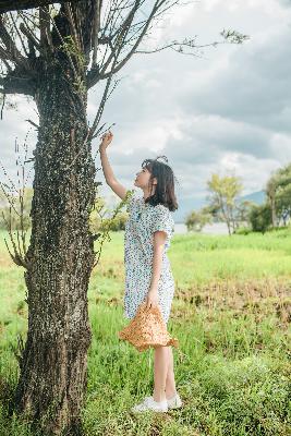 甄嬛传电视剧全集完整版免费观看